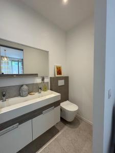 a bathroom with a toilet and a sink and a mirror at Studio en maison historique in Golfe-Juan