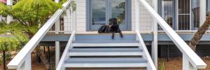 a dog sitting on the stairs of a house at Bowen View - pet-friendly home near Hyams Beach in Hyams Beach