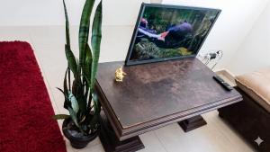 a table with a picture on it next to a plant at Apartamento Compacto Localização Privilegiada in Uberaba