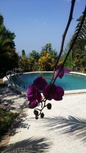 Piscina en o cerca de West Bali Villas-Umasari Resort