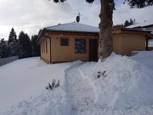 Chalupa na Lipně - Holiday House 1 v zime