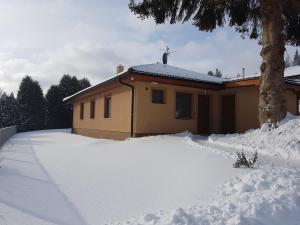 a house with a lot of snow in front of it at Chalupa na Lipně - Holiday House 1 in Lipno nad Vltavou