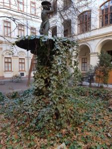 Vonkajšia záhrada v ubytovaní Liszt Studio