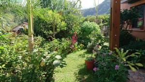a garden with a bunch of plants and flowers at L'Hibiscus-Joli T3-70m2- Terrasse-Jardin in Entre-Deux