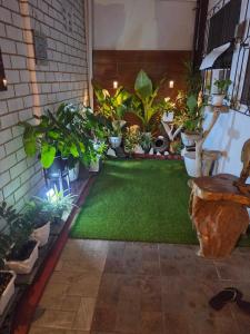 a garden with plants and a green lawn at AJ Transient House in Gairan