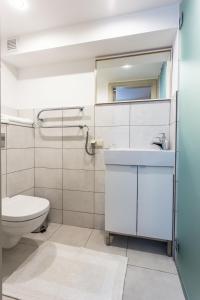 a bathroom with a toilet and a sink at Inga Vacation House in Druskininkai +66 photos
