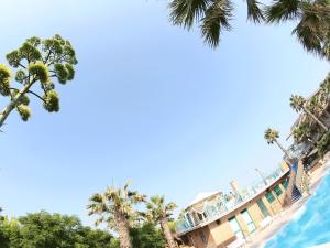 マルティンシクーロにあるVillaggio Camping Duca Amedeoのヤシの木が植わるリゾートのプールの景色を望めます。