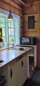 eine Küche mit Arbeitsplatte und Mikrowelle in der Unterkunft Tiny house with Fjordview! in Lauvstad