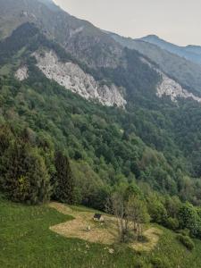 a view of a mountain with a bench in a field at StarsBOX - La Vrata Gialla in Montemaggiore