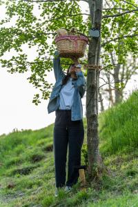 a woman holding a basket on top of a tree at StarsBOX - La Vrata Gialla in Montemaggiore +19 photos