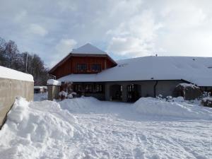 Family House 94 v zime