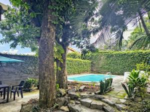 a swimming pool in a yard with a tree at Hotel Alcántara Boutique in San Salvador