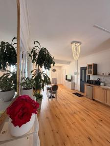 a large living room with potted plants and a kitchen at Villa des dames 40m2,jardin fleuri in Sainte-Savine