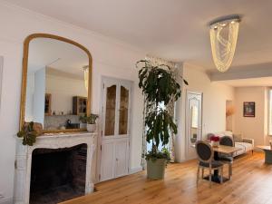 a living room with a fireplace and a mirror at Villa des dames 40m2,jardin fleuri in Sainte-Savine