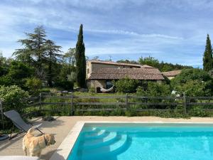 a dog is standing next to a swimming pool at Le Mas de Fournery in Villeneuve-de-Berg