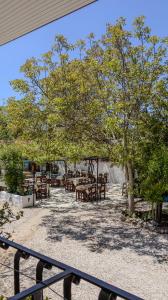 a patio with tables and chairs and a tree at Yakamoz Hotel Fethiye in Fethiye