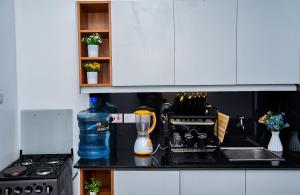 a kitchen counter with a blender and a stove at Royalty homes in Kiambu