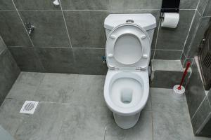 a bathroom with a toilet in a stall at Royalty homes in Kiambu +18 photos