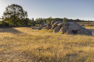 a row of large rocks in a field at Studio Kweepeer in Ruinerwold
