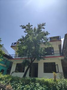 a building with a tree in front of it at The Pine View in Kasol