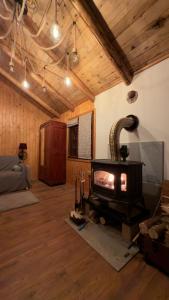 a living room with a wood burning stove in it at Vila Boutique Cozy in Nucşoara