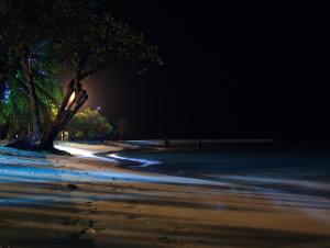 Příroda nedaleko prázdninového domu