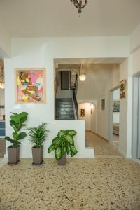 a hallway with two potted plants and a staircase at SunWave Residence in Agios Nikolaos