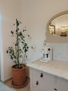 a potted plant sitting on a counter next to a coffee maker at Alexandria Aegean View in Gavrio +28 photos