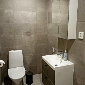a bathroom with a toilet and a sink and a mirror at Downtown studio, near railwaystation, with exercise facilities in Seinäjoki