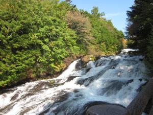 a river with water rushing down a hill with trees at Shiunso in Nikko