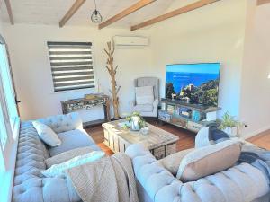 a living room with two blue couches and a flat screen tv at Beach House in Surf Beach
