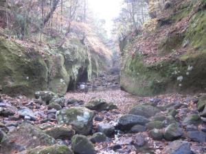 a stream in a canyon with rocks and trees at Shiunso in Nikko