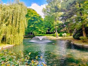 a pond with a fountain in a park at Ferienwohnung Am Weifberg in Hinterhermsdorf Sächsische Schweiz in Hinterhermsdorf