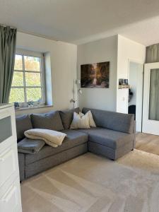 a living room with a gray couch in a room at Ferienwohnung Am Weifberg in Hinterhermsdorf Sächsische Schweiz in Hinterhermsdorf
