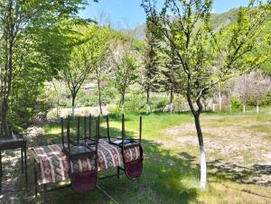 a bed in a field with a tree at Restaran otel in İsmayıllı +3 photos