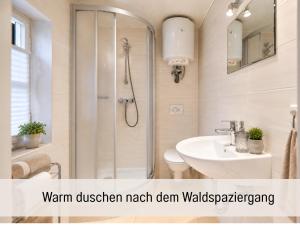 a bathroom with a shower and a sink at Waldidyll - Ruhe mitten im Wald in Dahlen +11 photos