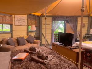 a living room with a couch and a tv at The Yurt at Les Forges in Saint-Sornin-la-Marche