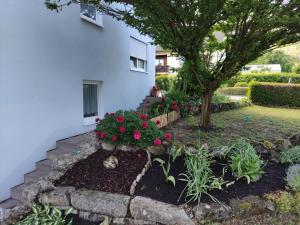 a garden with flowers and a tree next to a building at Ferienwohnung Kemmerth in Ebermannstadt