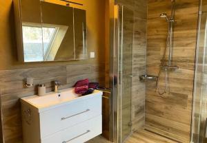 a bathroom with a shower and a sink and a mirror at Sonnenhof Krausnick in Krausnick