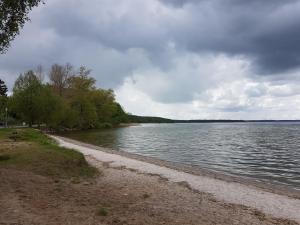 a body of water with trees on the shore at Ferienwohnung Inge Grahl in Lenz +27 photos