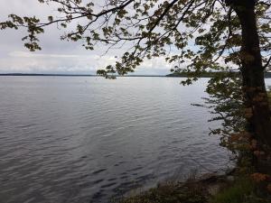 a view of a large body of water at Ferienwohnung Inge Grahl in Lenz