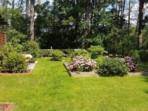 a garden with flowers and bushes in the grass at Ferienwohnung Inge Grahl in Lenz