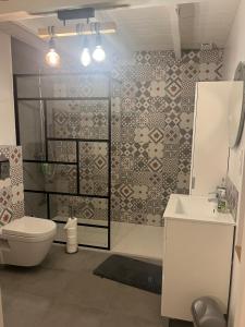 a bathroom with a shower and a toilet and a sink at Chez Paulette - par Happy House in Gouzon +5 photos