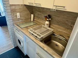 a kitchen counter with a sink and a dishwasher at Haus Lith - Ferienwohnung Strandläufer in Nordstrand
