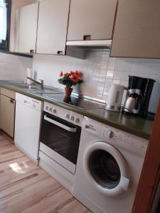 a kitchen with a washing machine and a sink at Nordseenest in Butjadingen
