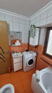 a bathroom with a washing machine and a sink at Gabriela Studio in Drobeta-Turnu Severin