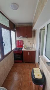 a small kitchen with a stove and a sink at Gabriela Studio in Drobeta-Turnu Severin