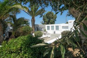 eine Palme vor einem weißen Gebäude in der Unterkunft Hotel Milena in Mykonos Stadt