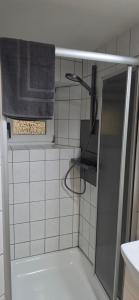 a small bathroom with a shower with a towel at Nikolaus EG in Bernkastel-Kues +18 photos