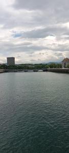a large body of water with buildings in the background at Garro1 in Pasajes Ancho